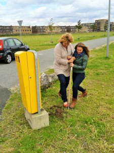 Prullenbak Cascadepark Almere Poort 2015